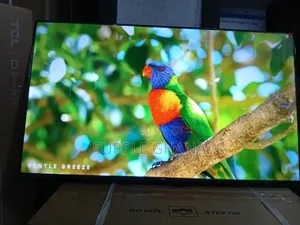 TCL 43” Led Smart Tv – Your Daily Entertainment Partner
