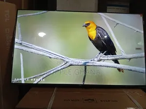 TCL 43-Inch Tv – Experience the Difference