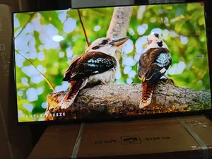 TCL 43” Smart Tv – Clear Vision, Smart Living