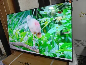 TCL 43-Inch Digital Tv – Clear Picture Powerful Sound