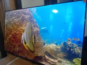 TCL 43” Android Smart Tv – Endless Entertainment Options