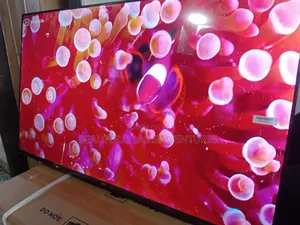TCL 43-Inch Led Television – Sharp Images Rich Sound