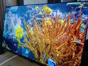 TCL 43-Inch Tv – Perfect Size for Living Room Bedroom