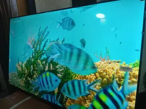 TCL 43-Inch Led Tv – Affordable Luxury Viewing