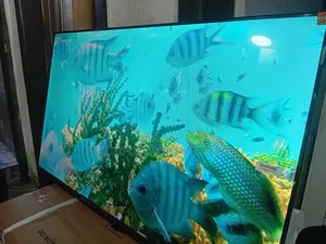 TCL 43-Inch Smart Led Tv – Your Home Cinema Upgrade