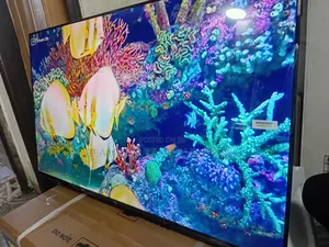 TCL 43-Inch Android Smart Tv – Stream, Watch Enjoy