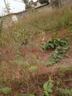 Land for Sale at Bush Road Icgc Area