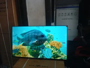 TCL 43-Inch Hd Tv – Compact Size, Big Entertainment