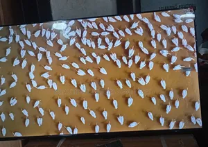 TCL 43” Television – Stylish, Durable High Performance
