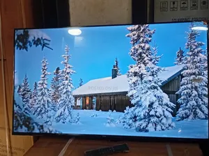 TCL 43-Inch Smart Display Tv – Smart Living Made Easy