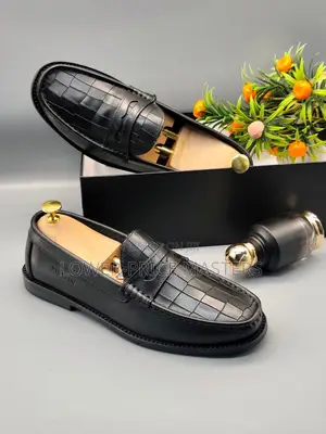 Louis Vuitton Shoe (Loafer)