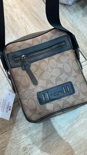 Coach Dylan 27 Crossbody Bag in Signature Leather Details.