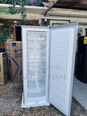 Get Unique Nasco Nasd1-33 Single Door Upright Standing Freezer(Gray)