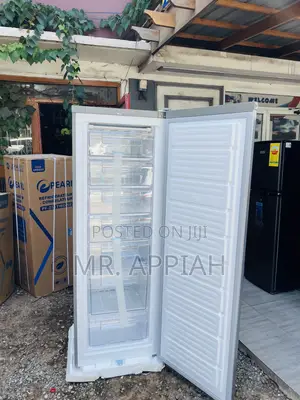 Fast Freezing Nasco Nasd1-33 Single Door Upright Standing Freezer.
