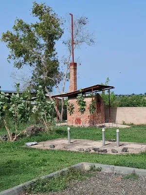 Expert in Incinerator Construction