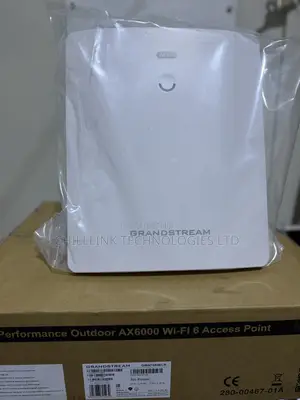 Grandstream Outdoor Long-Range Wi-Fi 6 Access Point Gwn7664elr