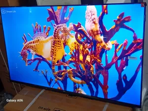 Modern Living With TCL 43-Inch Smart Display