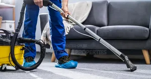 Vibrant Carpet and Floor Cleaners With Cleantex
