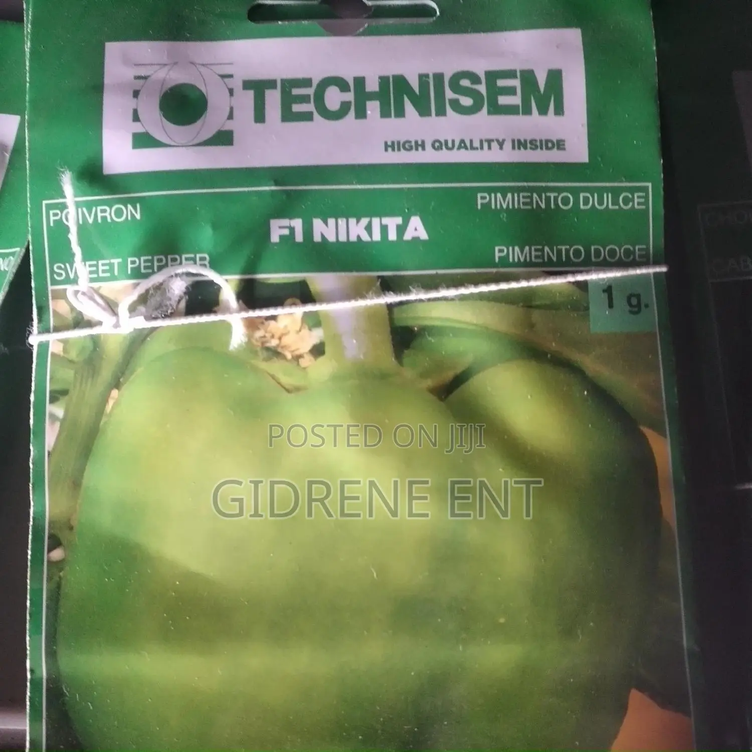 Vegetable Seeds