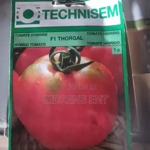Vegetable Seeds