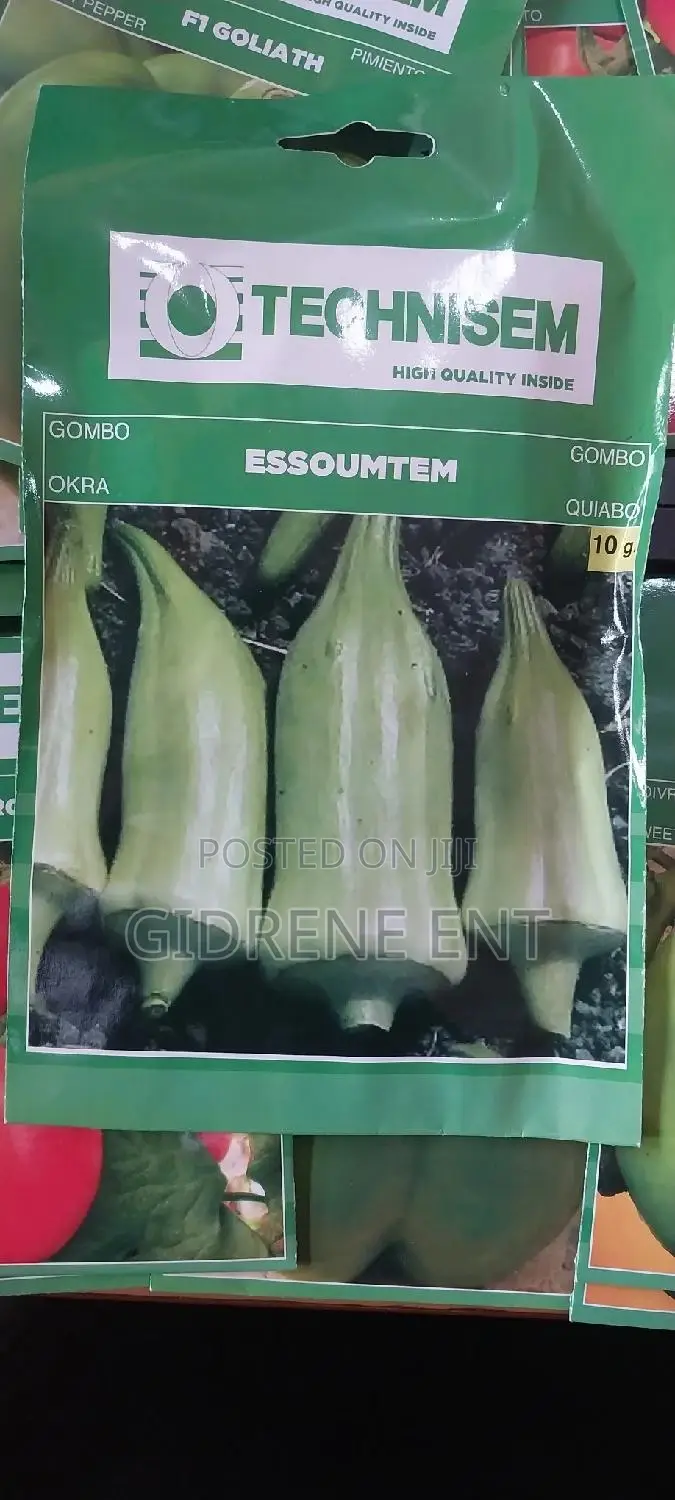 Vegetable Seeds