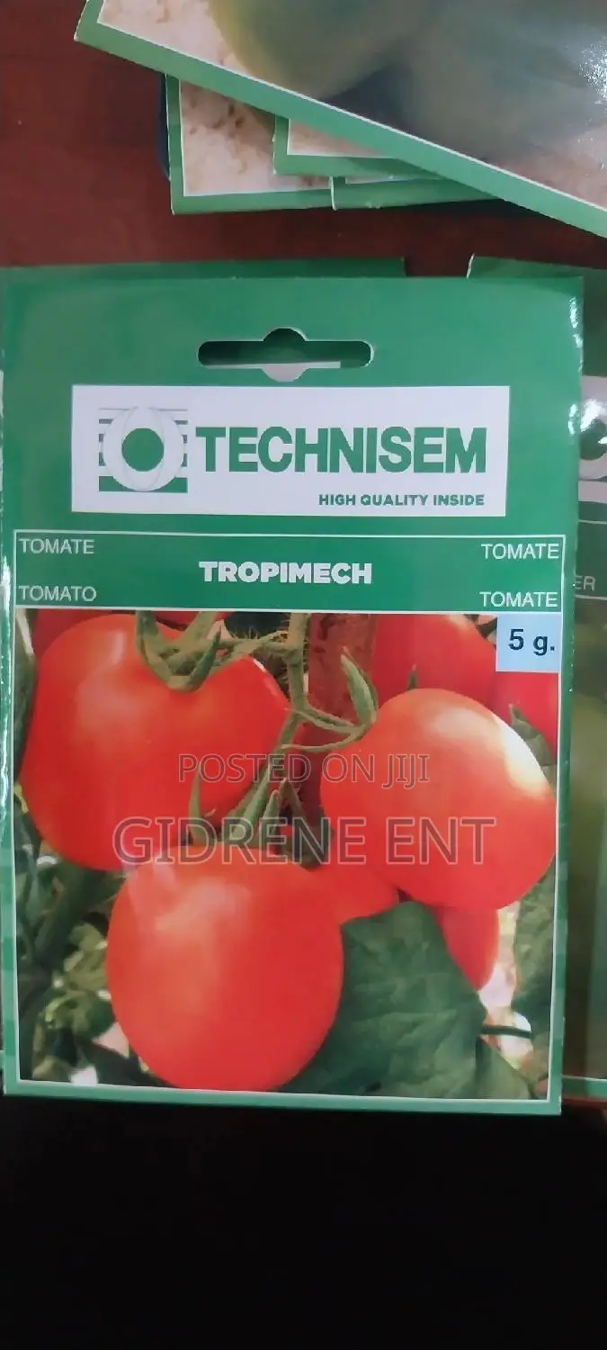 Vegetable Seeds
