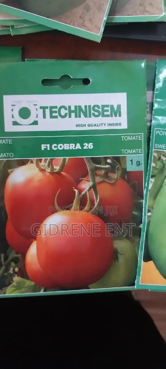 Vegetable Seeds