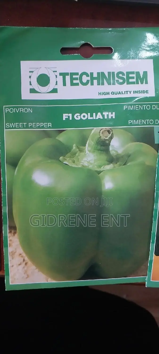 Vegetable Seeds