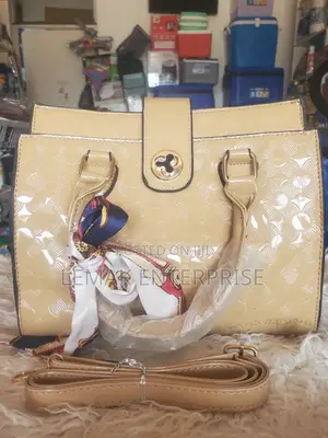 Ladies Handbags Sleek Chic Casua