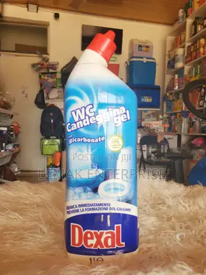 Toilet Cleaner With Bleach And Baking Soda