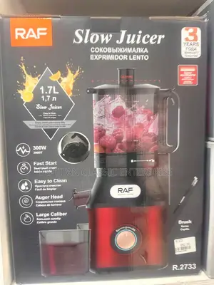 Quality Large Mouth Raf Multifunctional Slow Juicer