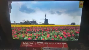 Smart, Stunning – Ansano 50” Tv
Elevate Your Entertainment Game With