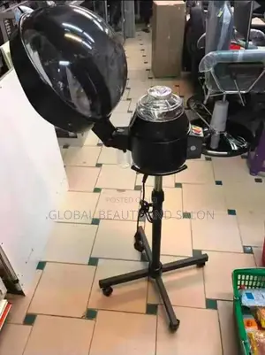 Hair Steamer