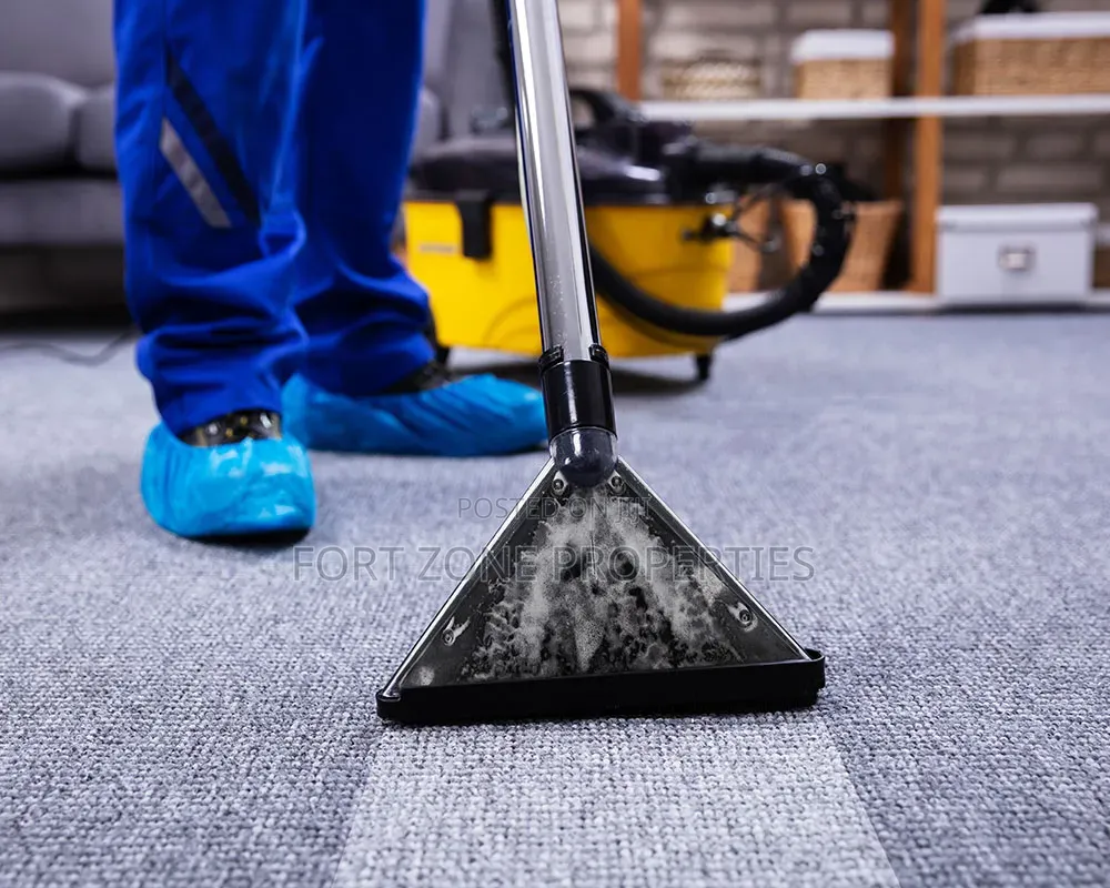 Revive Your Floor Carpets and Sofas With Cleantex