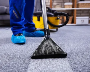 Revive Your Floor Carpets and Sofas With Cleantex