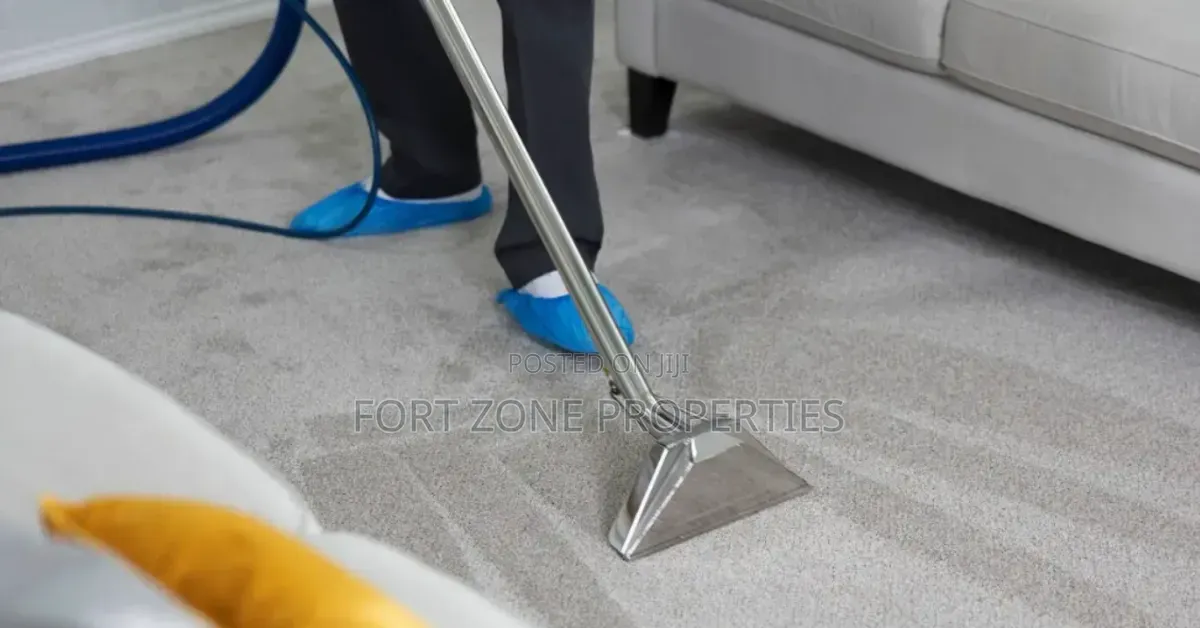 Revive Your Floor Carpets and Sofas With Cleantex