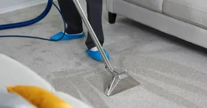 Revive Your Floor Carpets and Sofas With Cleantex
