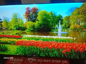 Turn Your Home Into Cinema With Asano 50-Inch Tv