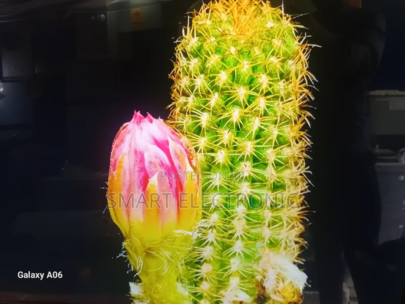 Asano 50-Inch Ultra Hd Smart Tv – Stunning Visual Clarity