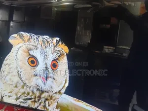 Asano 50-Inch Smart Tv – Smooth Streaming, Sharp Display