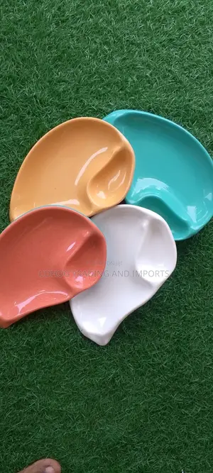 Kids Partitioned Plate