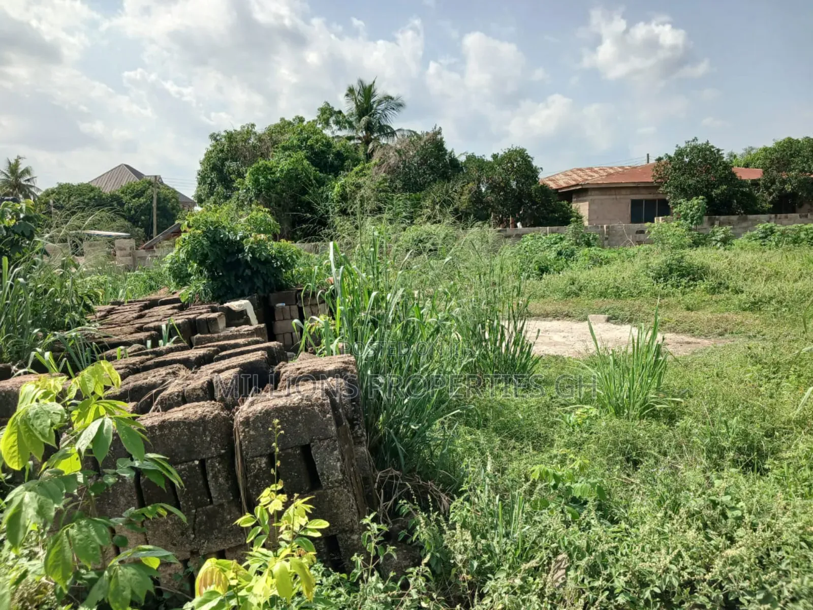 Land 4sale Adako Jachie -Tech-Ejisu Road