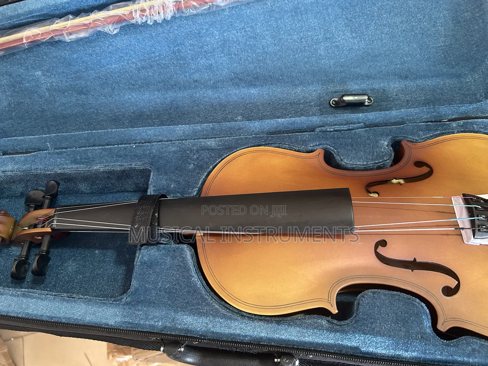 Violin/Fiddle