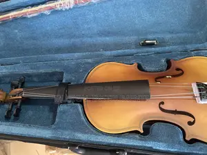 Violin/Fiddle