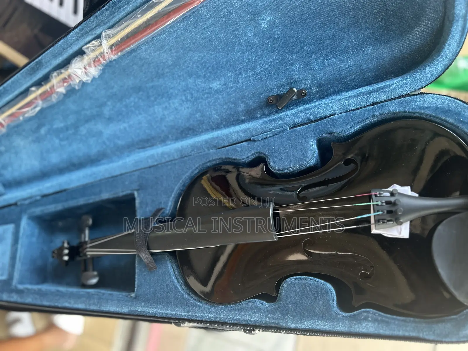 Violin/Fiddle
