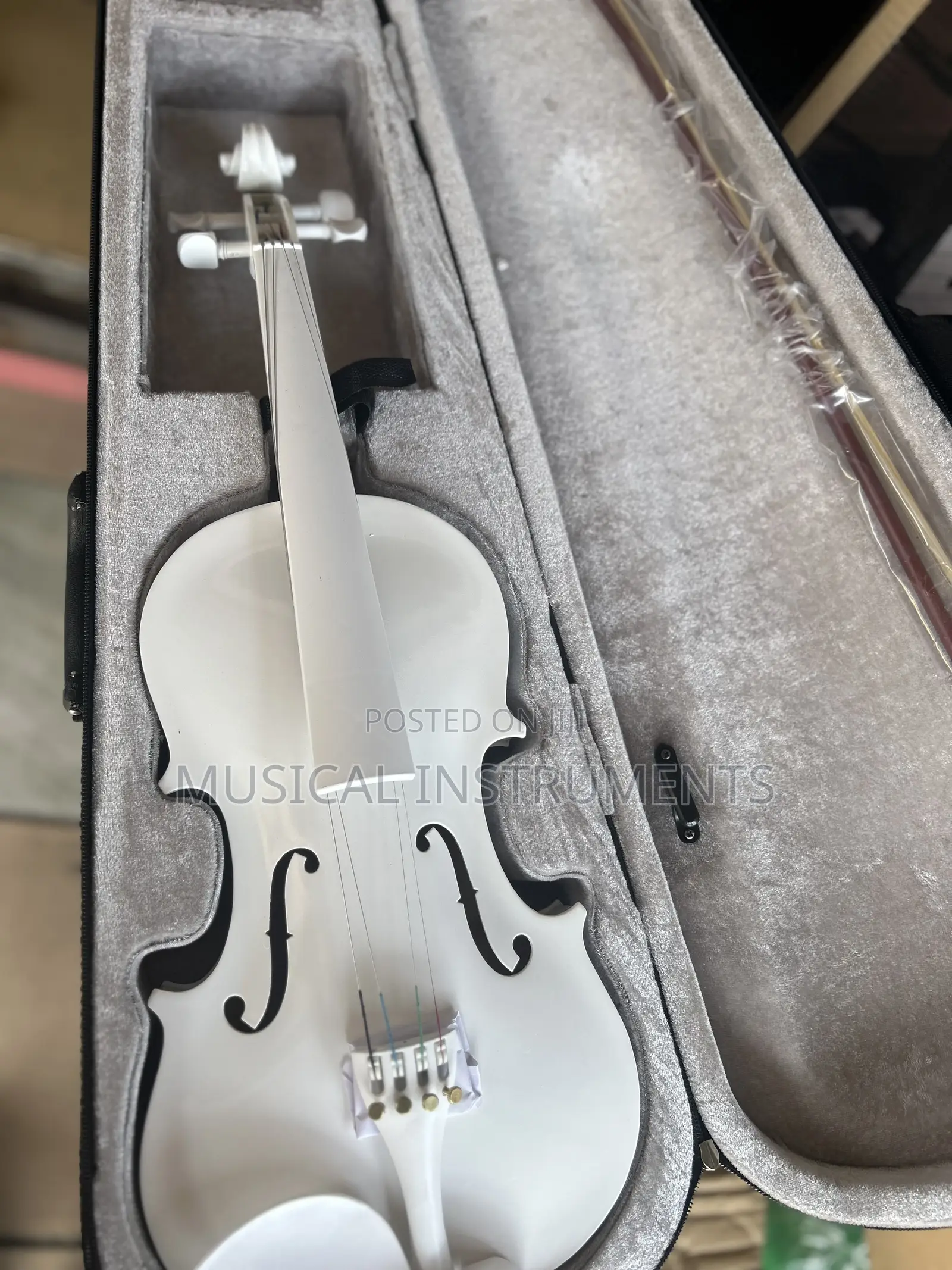 Violin/Fiddle