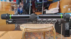 2in1 Shure FGX 400 Professional Wireless Microphone