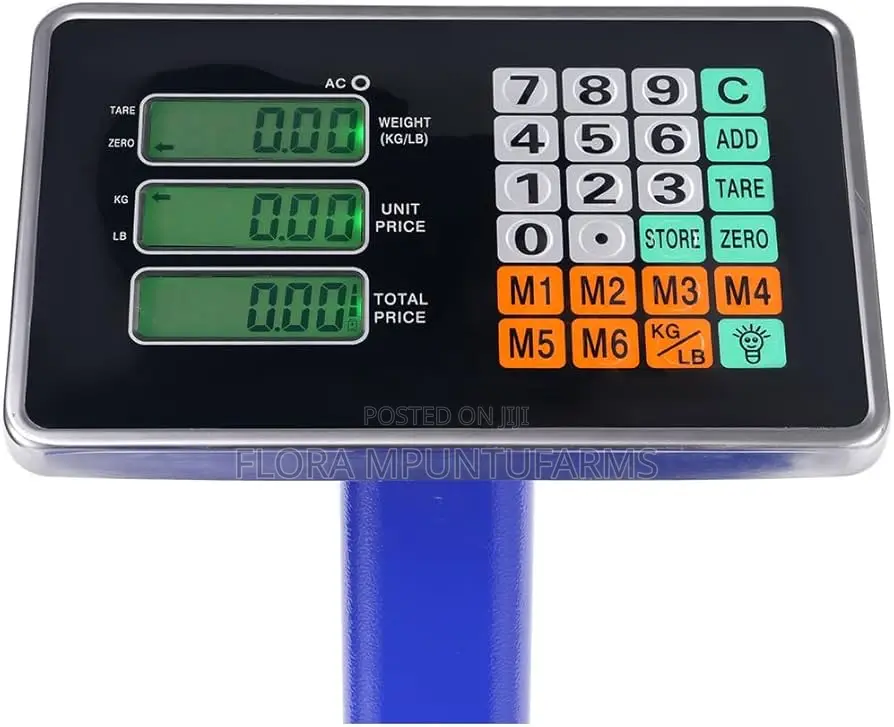 300kg Industrial Platform Scale