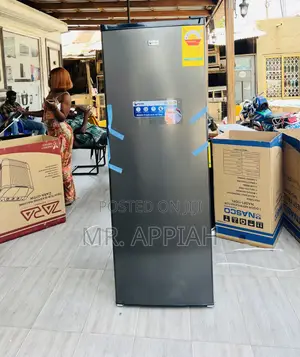 Extra Chilling Pearl Single Door Upright Standing Freezer(Puf-370)