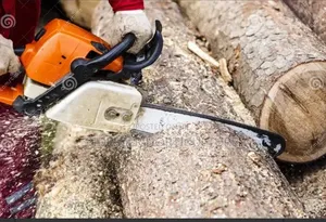 Tree Cutting / Hiring of Chain Saw Machine Services